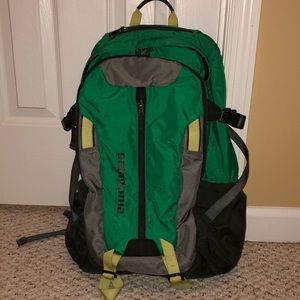 Green Patagonia Refugio 28L backpack